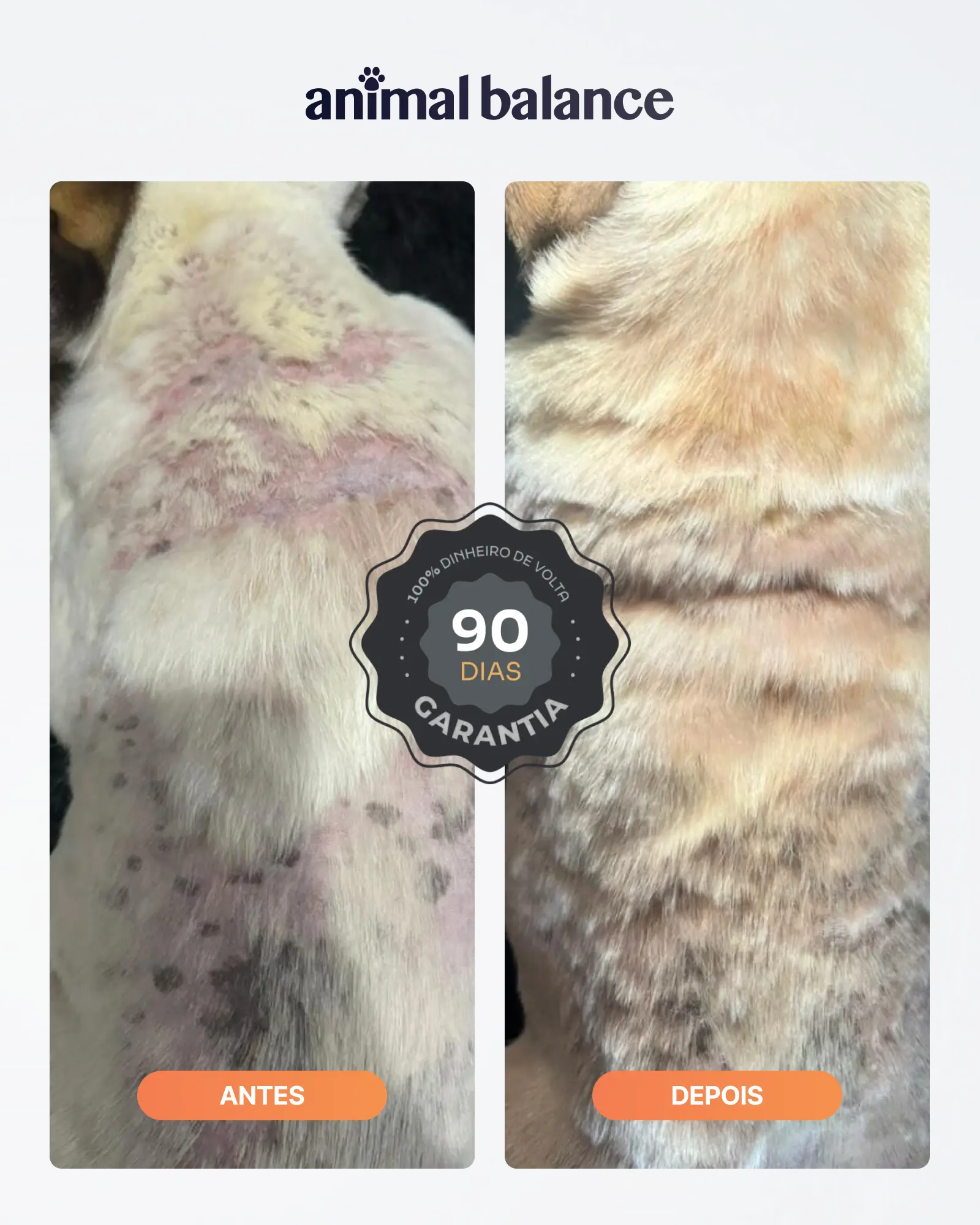 Kit Obrigatório 3 Loções Balm + 1 Shampoo Turmeric