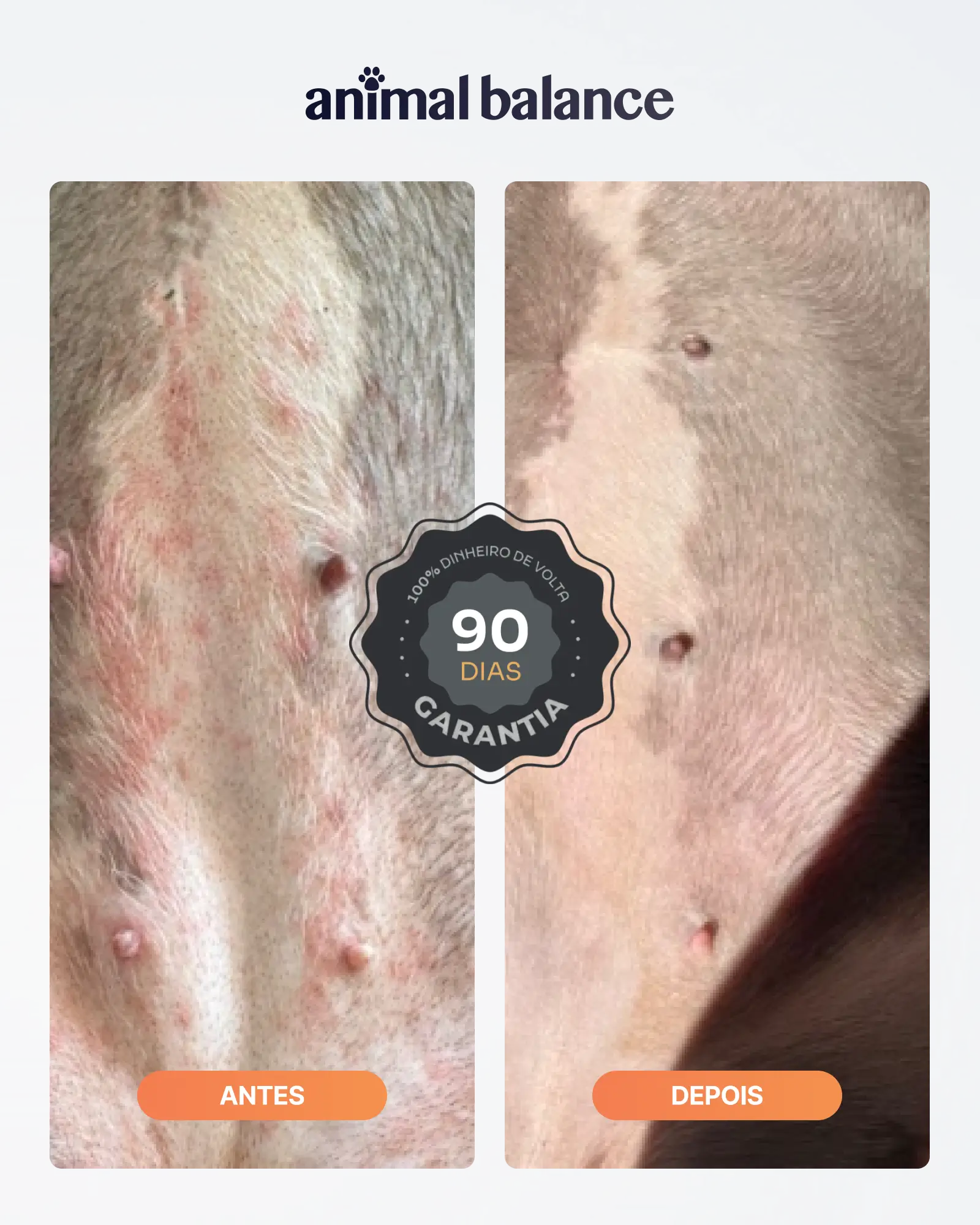 Kit Essencial - 1 Shampoo + 1 Balm - Cúrcuma e Barbatimão uso Tópico