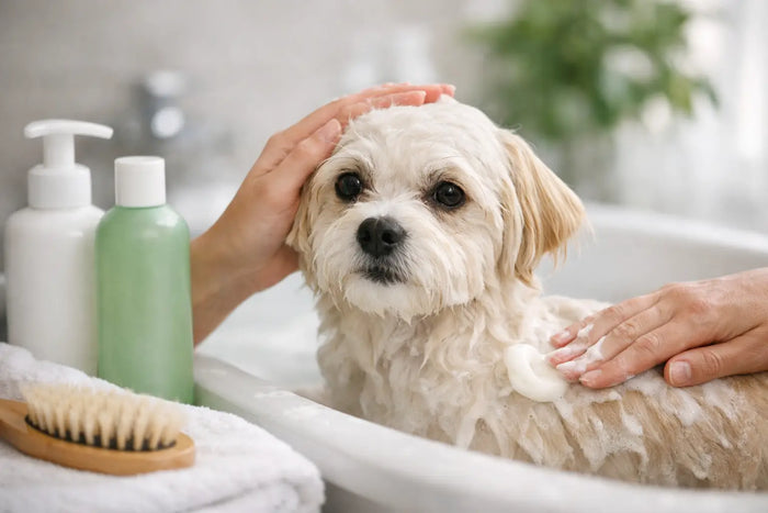 Condicionador para pele sensível canina funciona?
