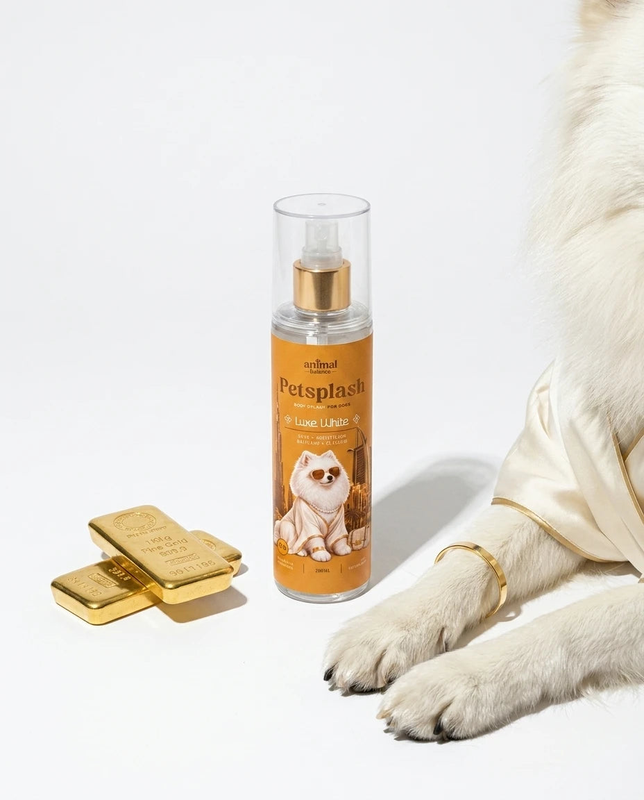 Petsplash® LUXE WHITE [04] inspirado no CHLOÉ [PRÉ VENDA - RECEBA APÓS 20.09/26]