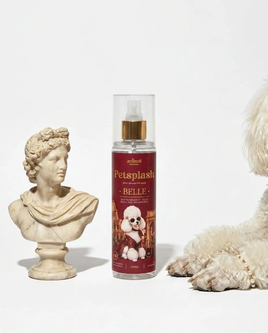 Petsplash® BELLE [06] inspirado no La Vie Est Belle [PRÉ VENDA - RECEBA APÓS 20.09/26]