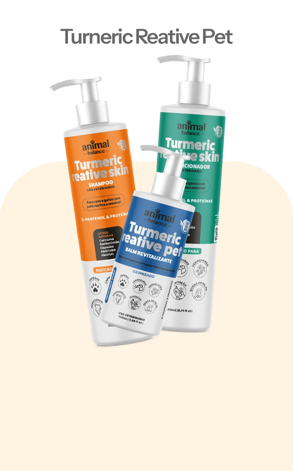 Kit Completo Comprar