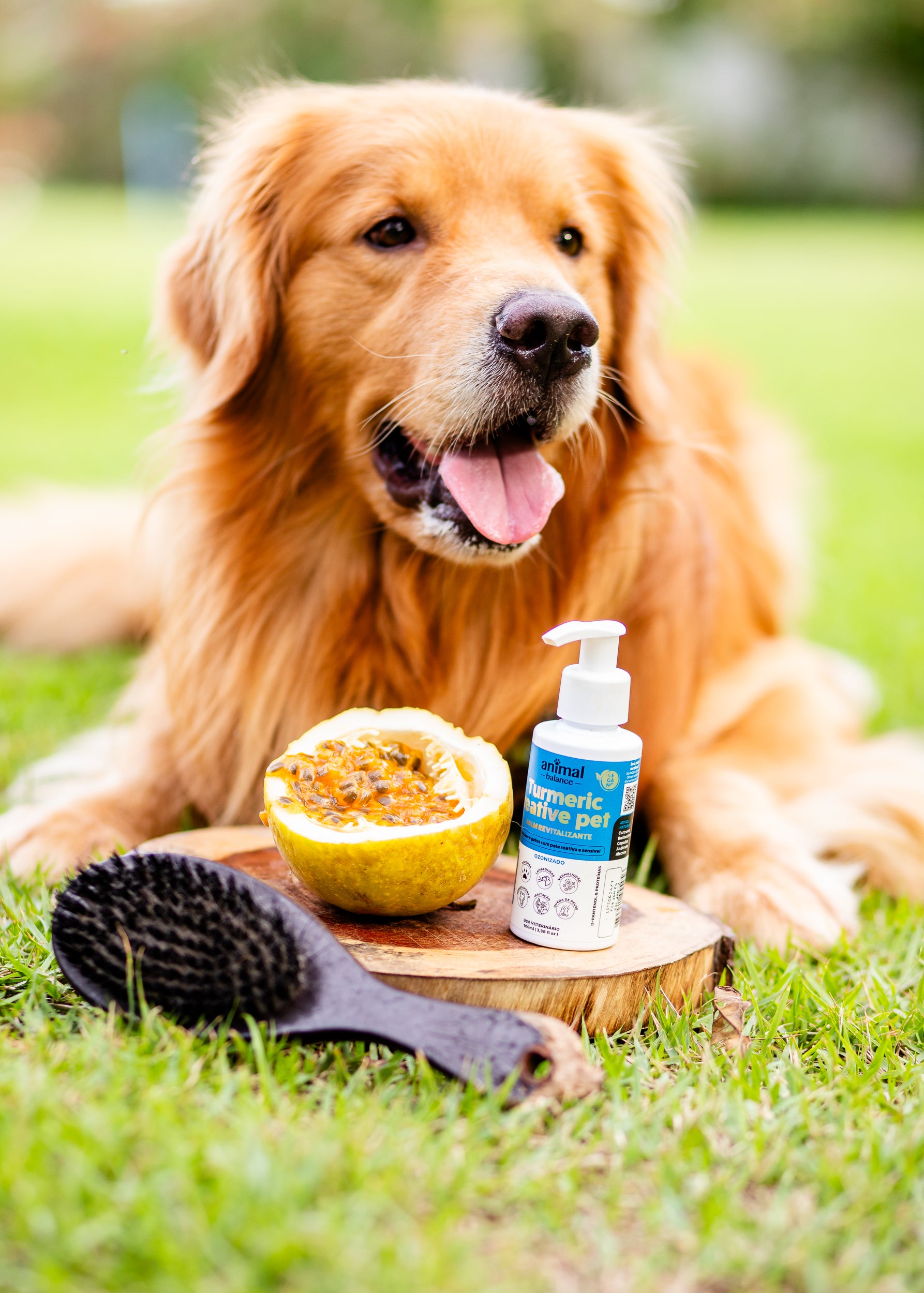 4 Spray Neem Defense + 2 Shampoo Neem Defense + 1 Balm Reparador