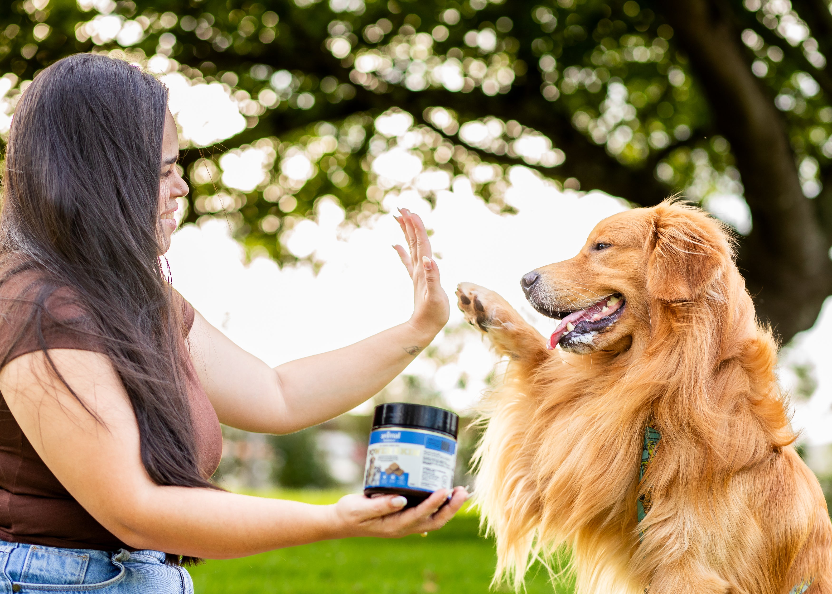 Power Skin - Pelo & Derme - Suplemento em Flexbites Palatáveis - 250g