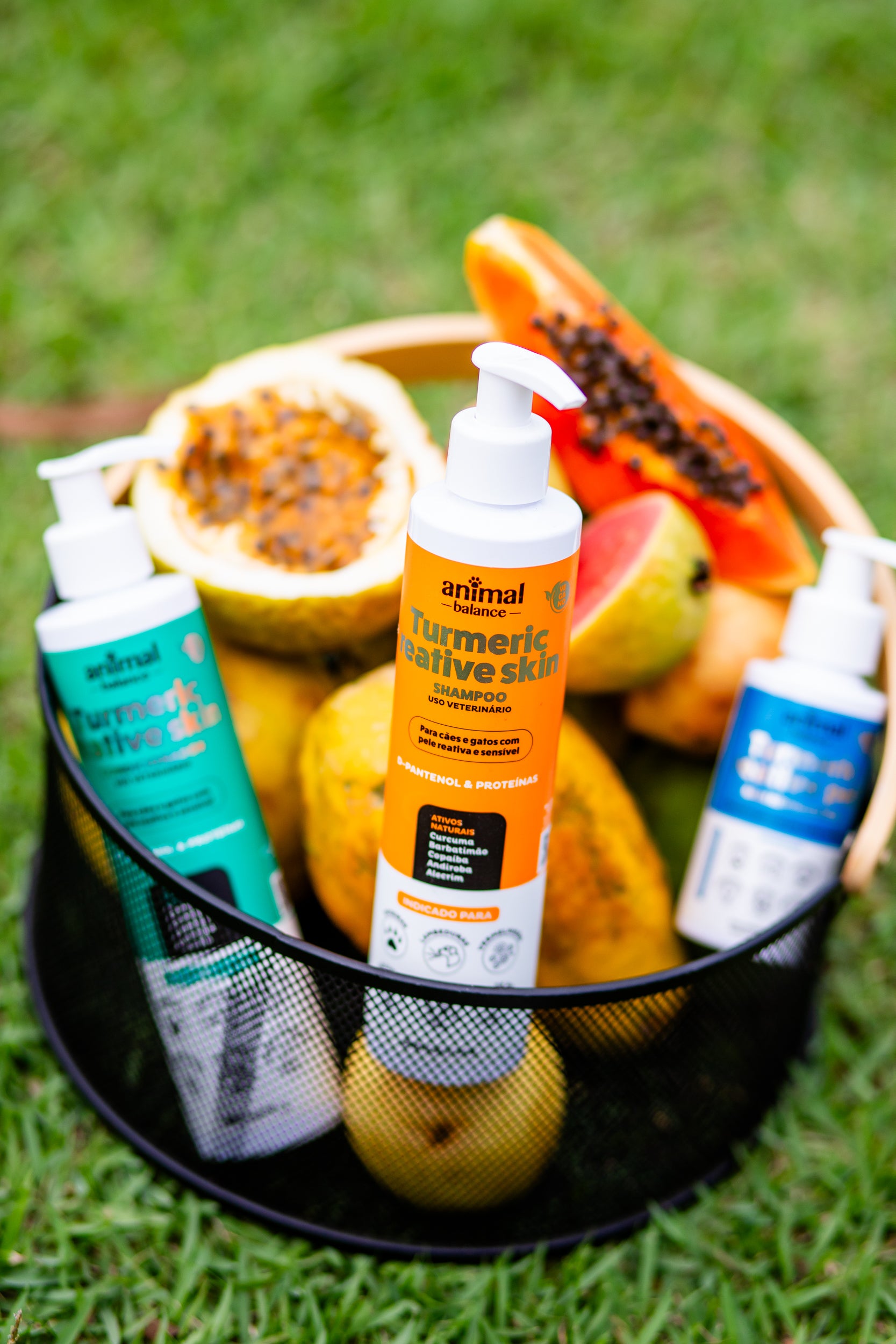 Kit 5 Power Skin - Pelo & Derme + 1 Shampoo Turmeric - Suplemento em Flexbites Palatáveis - 250g