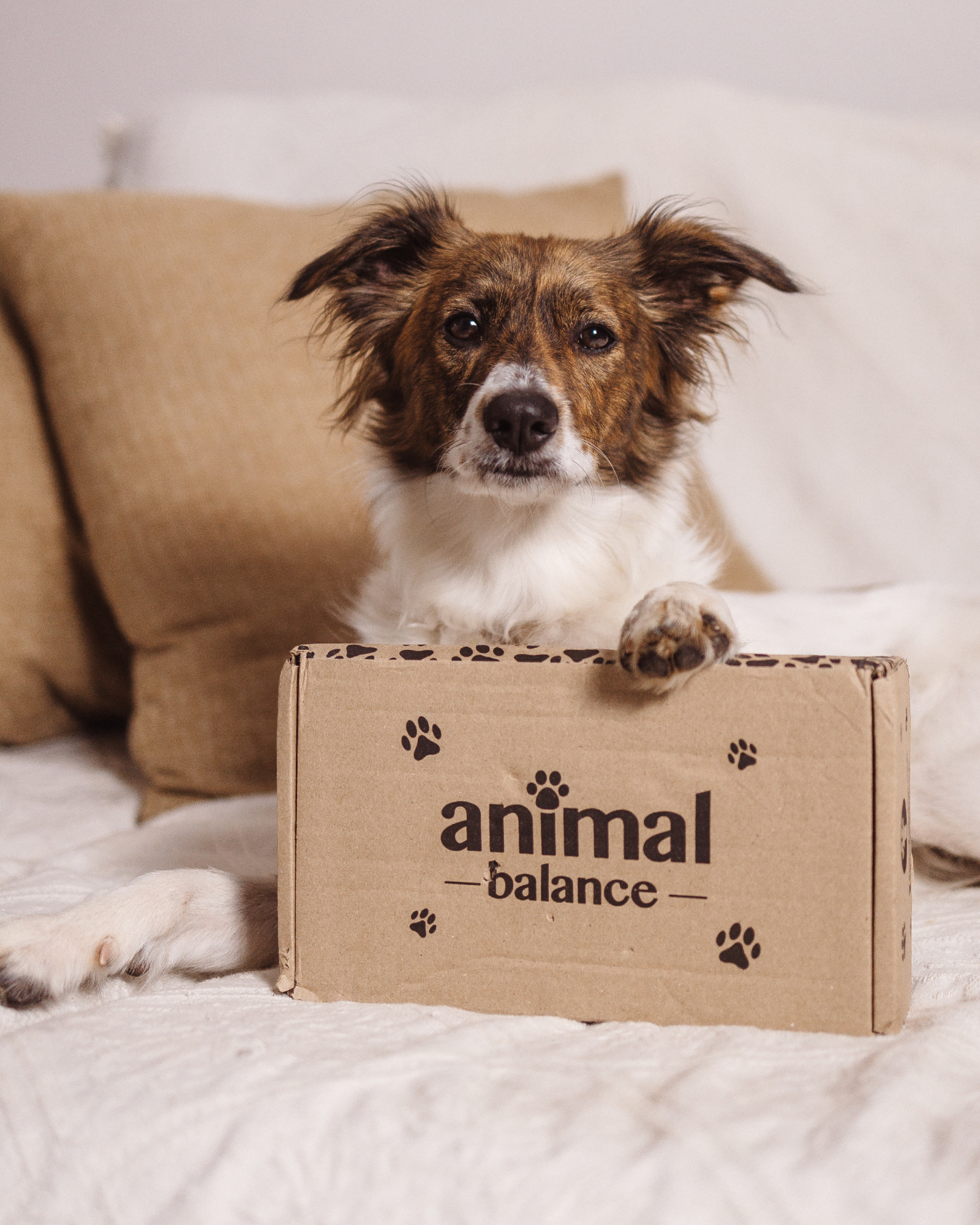 3 Balms Reestruturantes