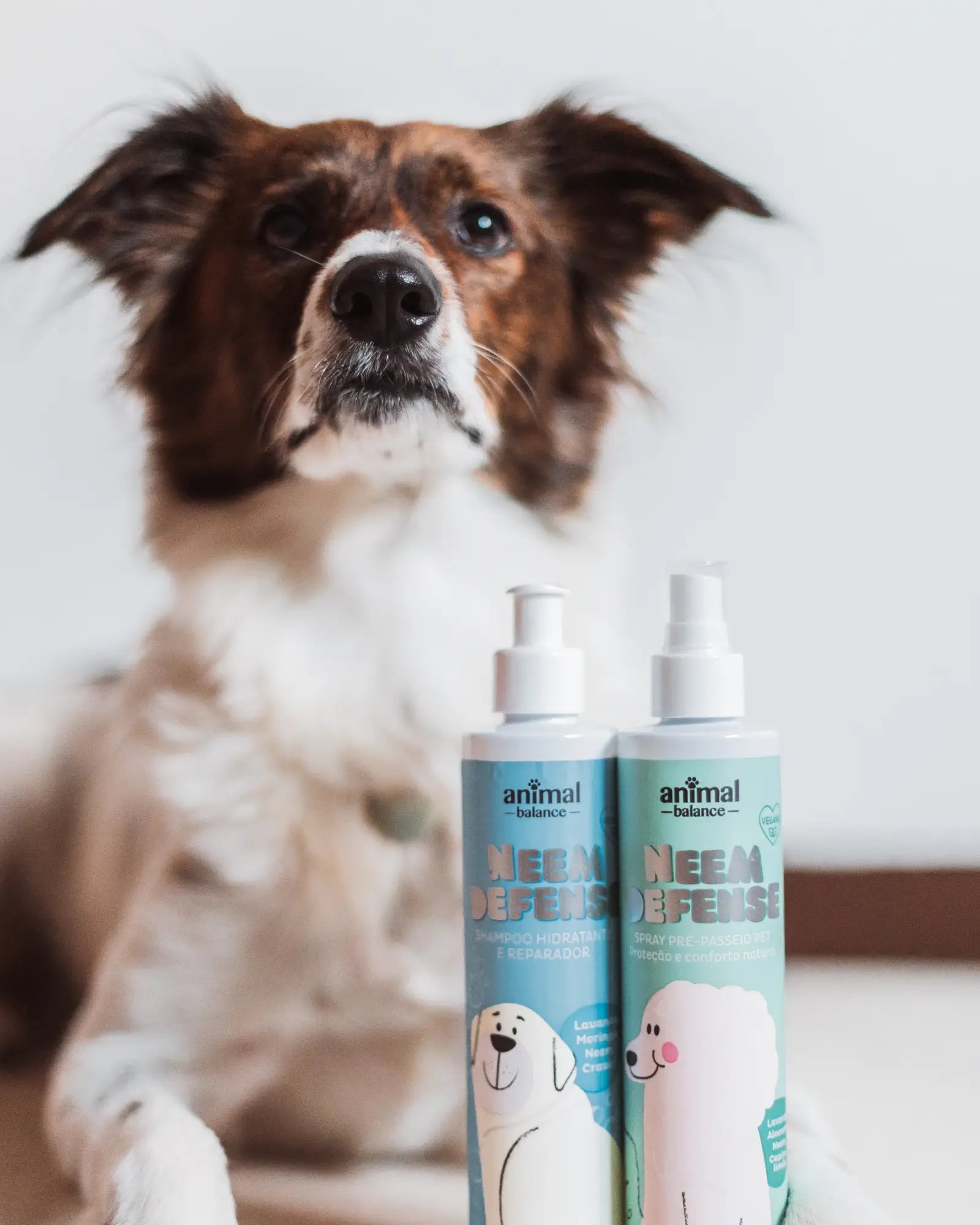 2 Sprays Neem + 2 Shampoos Neem + 1 Balm Turmeric Reative