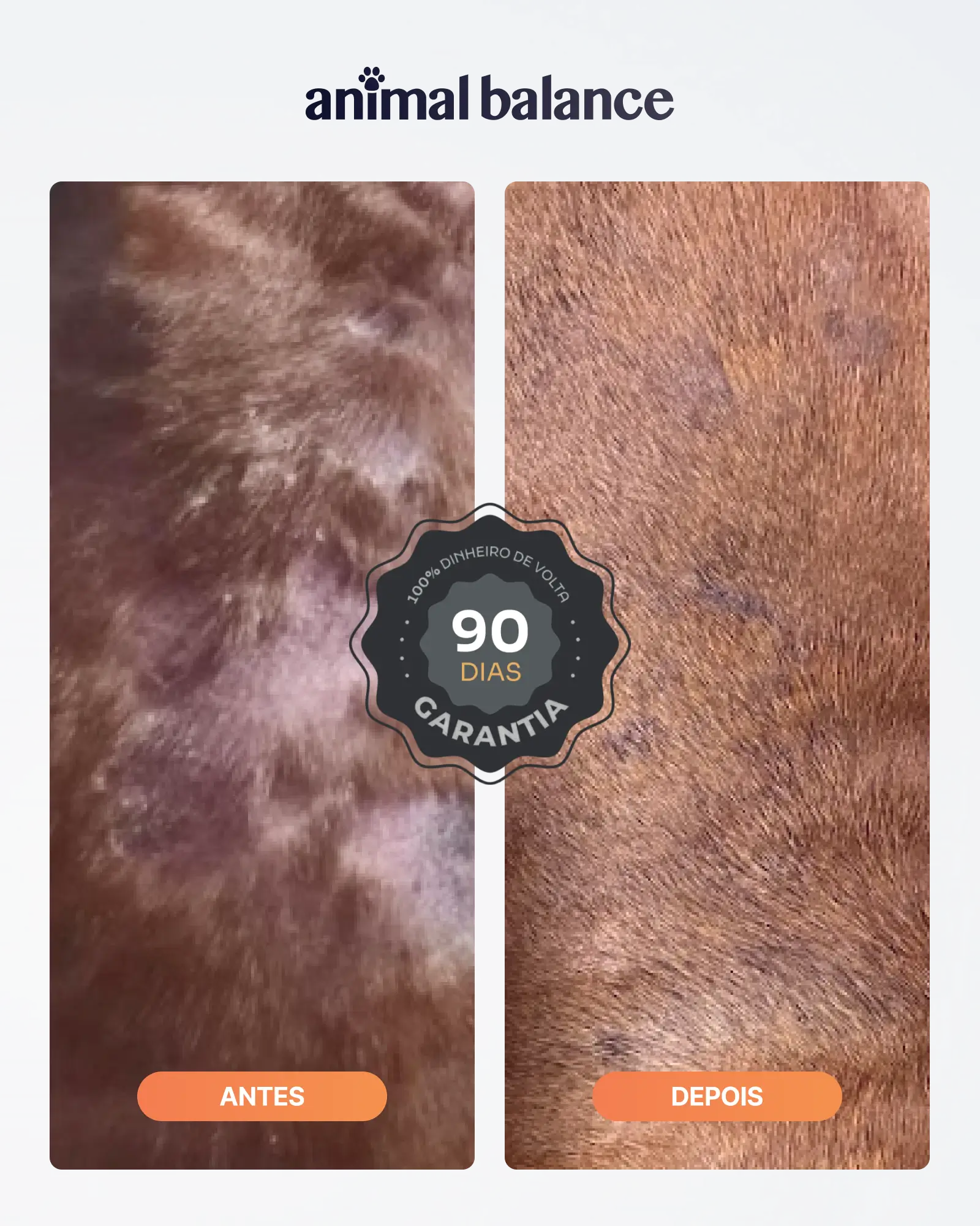 Kit Cúrcuma Reative - 1 Shampoo + 1 Condicionador