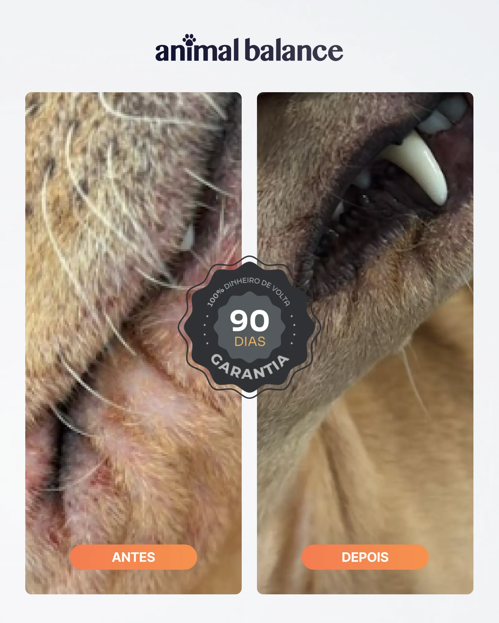 Kit Super Alívio - 1 Shampoo Curcuma Reative + 1 Condicionador Reative + 1 Balm Reestruturante Hidratante + 1 Spray Limpador Calmante