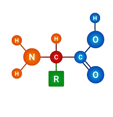 Proteínas