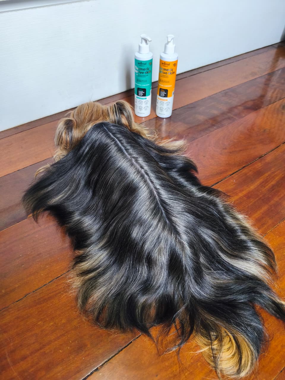 Kit 5 Power Skin - Pelo & Derme + 1 Shampoo Turmeric - Suplemento em Flexbites Palatáveis - 250g