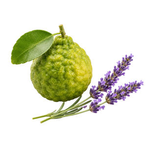 Aromático
