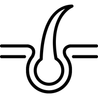 DESEMBARAÇO