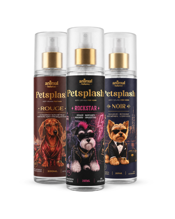 Petsplash® Trio Atitude (Noir, Rockstar e Rouge) [PRÉ VENDA - RECEBA APÓS 20.09.26]